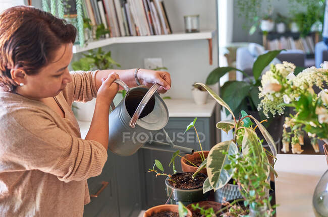 Maduro mulher rega houseplants — Fotografia de Stock