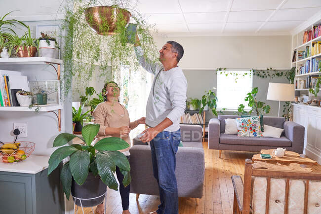 Reifes Paar gießt hängende Zimmerpflanze — Stockfoto