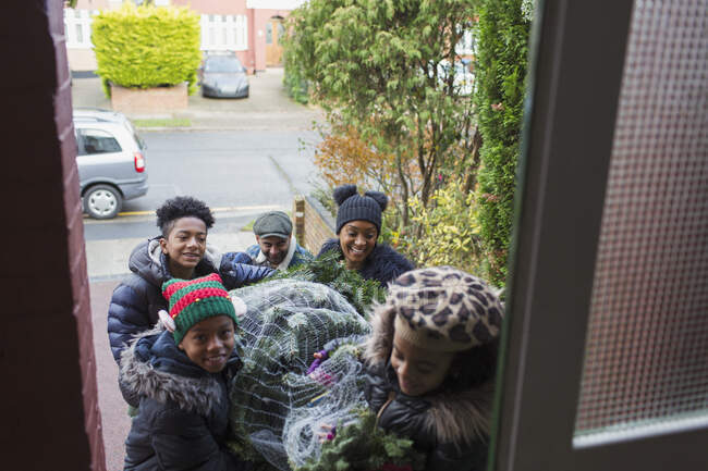 Happy family bringing Christmas tree into front door of house — Stock Photo
