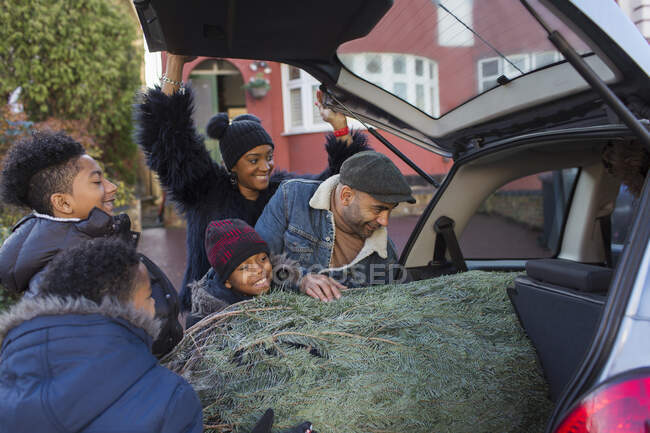 Familie lädt Weihnachtsbaum ins Auto — Stockfoto