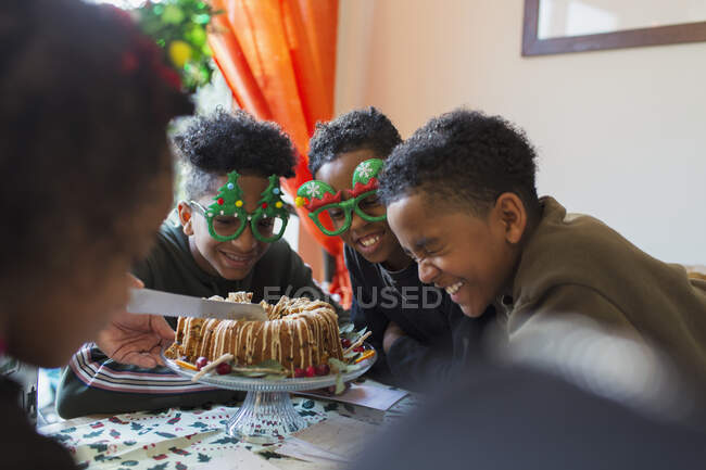 Happy festive brothers waiting for Christmas cake — Stock Photo