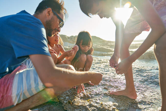 Familia explorando la piscina de marea en la playa soleada - foto de stock