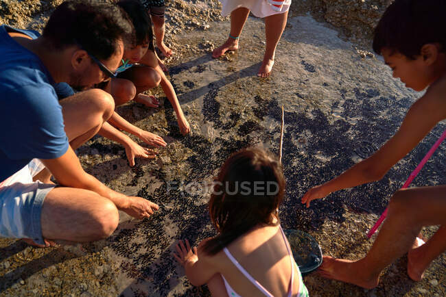 Família brincando na piscina da maré oceânica na praia — Fotografia de Stock