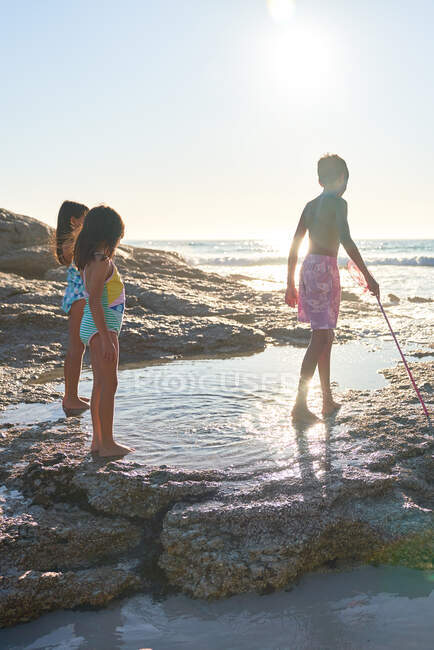 Hermano y hermanas jugando en la piscina de marea oceánica en la playa soleada - foto de stock