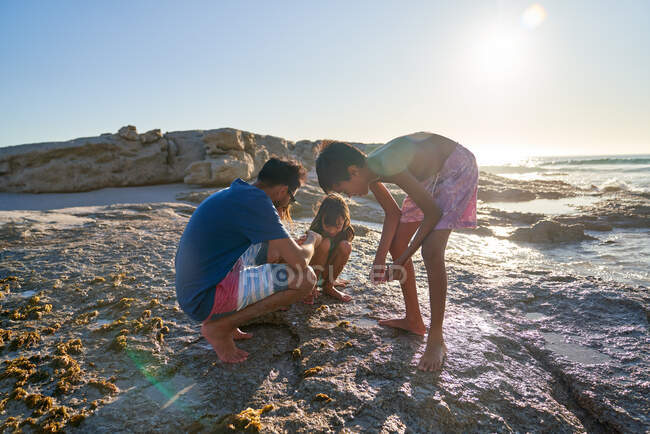 Família brincando em pedras na praia ensolarada — Fotografia de Stock