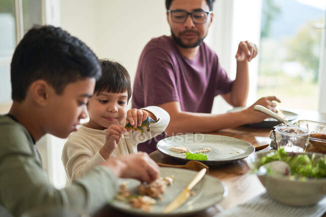 Pranzo in famiglia a tavola — Foto stock