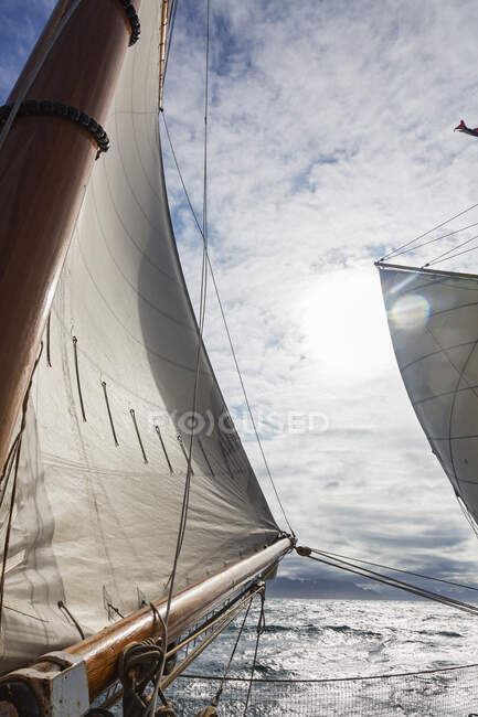 Вітер у вітрилах вітрильника на сонячному океані — стокове фото