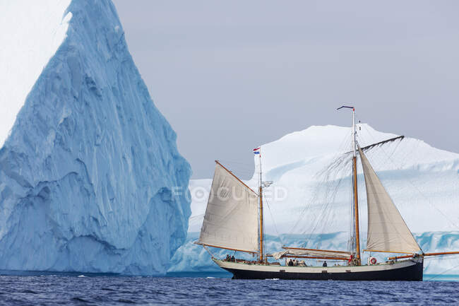 Navio navegando ao longo de icebergs majestosos no Oceano Atlântico Groenlândia — Fotografia de Stock