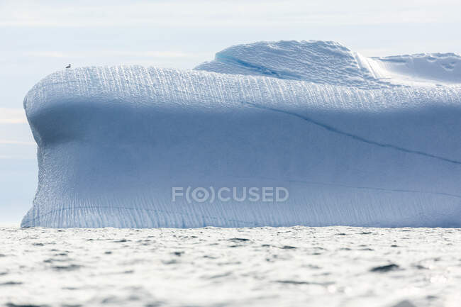 Величний айсберг на Атлантичному океані Гренландія — стокове фото