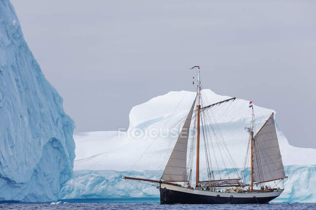 Barco navegando junto a grandes icebergs Groenlandia - foto de stock