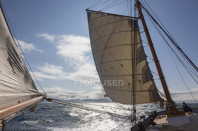 Sailboat sails blowing in wind over sunny Atlantic Ocean Greenland — Stock Photo