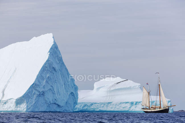 Barco navegando frente a majestuosos icebergs en el Océano Atlántico Groenlandia - foto de stock