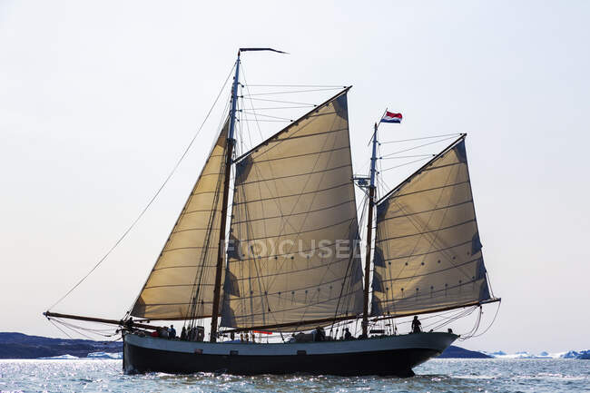 Nave con bandiera olandese che naviga sulla soleggiata Groenlandia dell'Oceano Atlantico — Foto stock