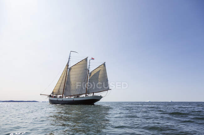 Navio com bandeira holandesa navegando no ensolarado Oceano Atlântico Groenlândia — Fotografia de Stock