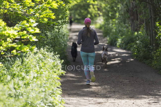 Woman jogging on sunny trail with dogs — Stock Photo