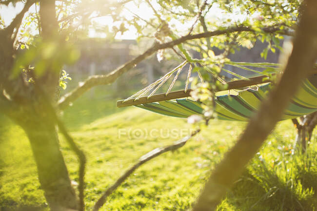 Hängematte hängt im sonnigen ruhigen Garten — Stockfoto