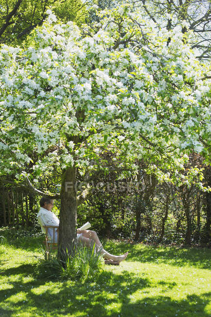 Man reading book below flowering tree in sunny tranquil garden — Stock Photo