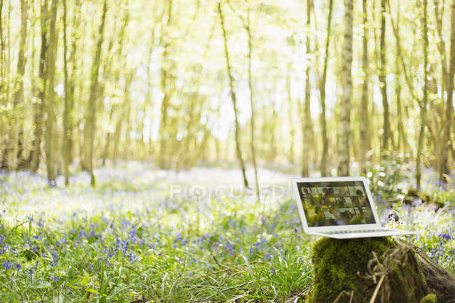 Amigos de vídeo chat en la pantalla del ordenador portátil en idílicos bosques soleados - foto de stock