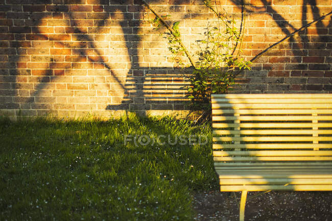 Sombra de banco en la pared de ladrillo en jardín soleado - foto de stock