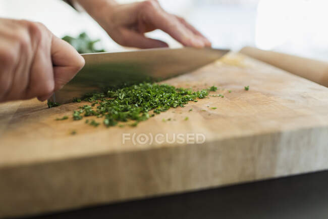 Cerca de la mujer de corte de hierbas frescas con cuchillo en la tabla de cortar - foto de stock