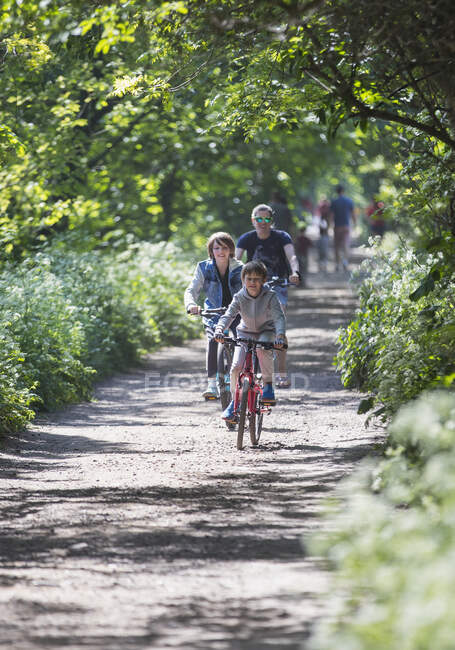Mãe e filhos andar de bicicleta no caminho do parque ensolarado — Fotografia de Stock