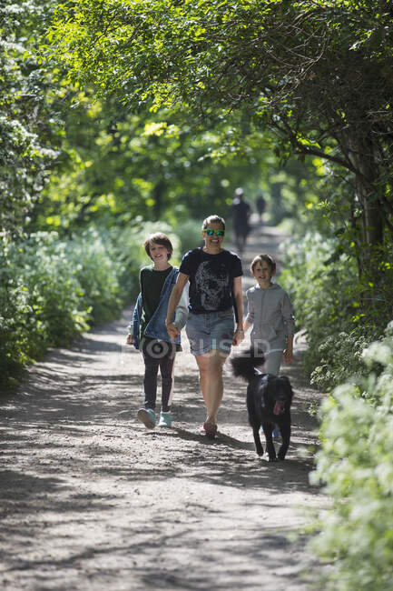 Madre e hijos con perro paseando por el sendero del parque soleado - foto de stock