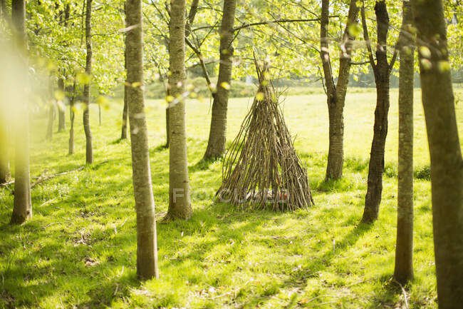 Branch teepee in sunny woodland — Stock Photo