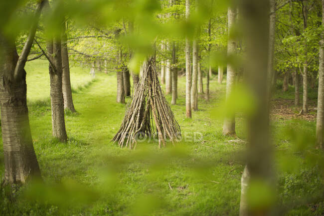Branch teepee in woodland — Stock Photo