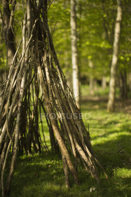 Branch teepee in woods — Stock Photo