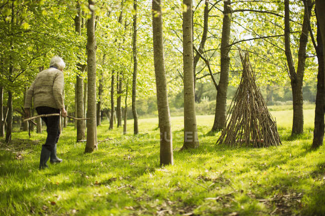 Senior woman with branches making teepee in sunny woodland — Stock Photo