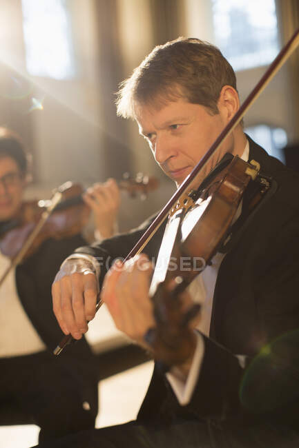 Visão de violinista realizando — Fotografia de Stock
