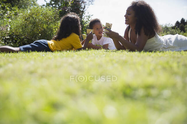 Счастливая мать и дети пьют сок коробки в солнечной летней траве — стоковое фото