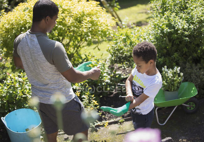 Vater und Sohn gärtnern mit Handschuhen im sonnigen Sommergarten — Stockfoto