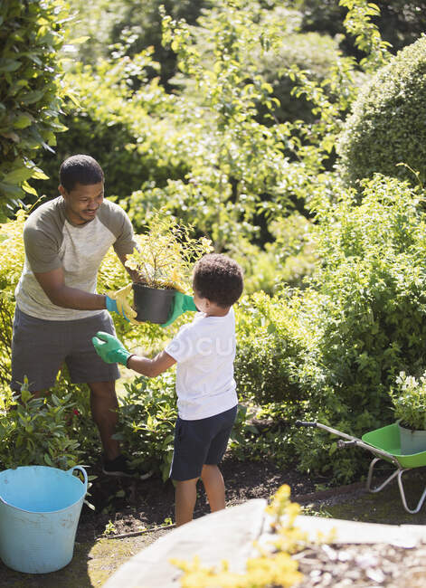 Padre e figlio giardinaggio nel soleggiato giardino estivo — Foto stock