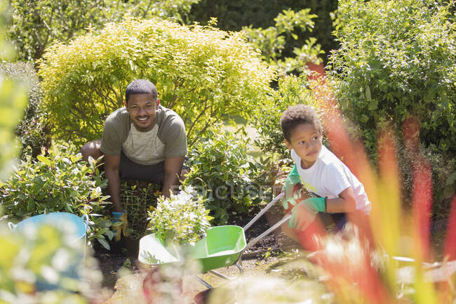 Father and son gardening in sunny summer garden — Stock Photo