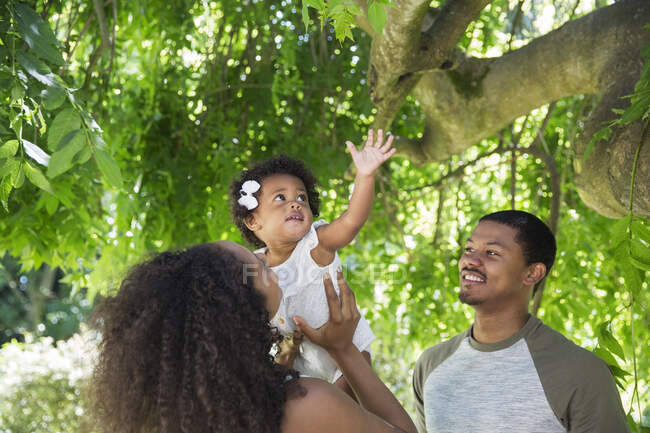 Genitori sollevamento figlia bambino sotto l'albero estivo — Foto stock