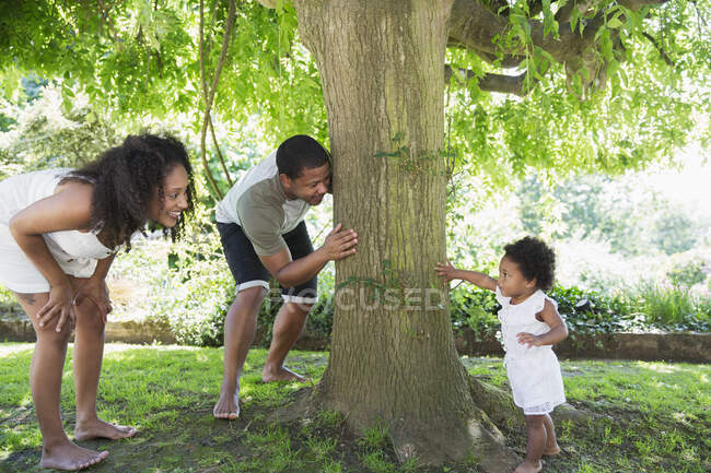 Padres jugando al escondite con una linda hija en el árbol - foto de stock