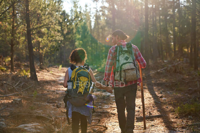 Pareja joven de senderismo con mochilas en bosques soleados de verano - foto de stock