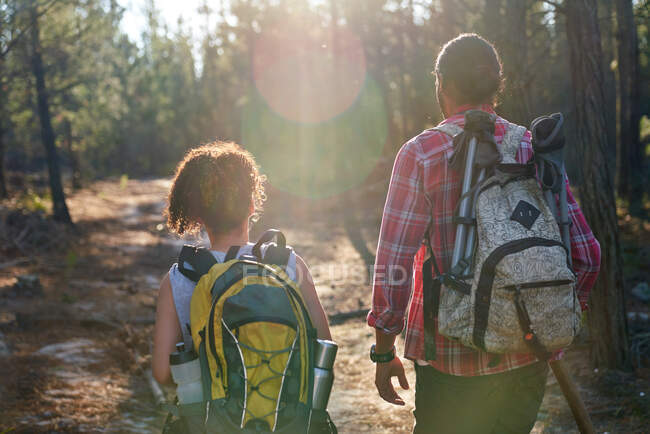 Jeune couple avec sacs à dos randonnée dans les bois ensoleillés d'été — Photo de stock