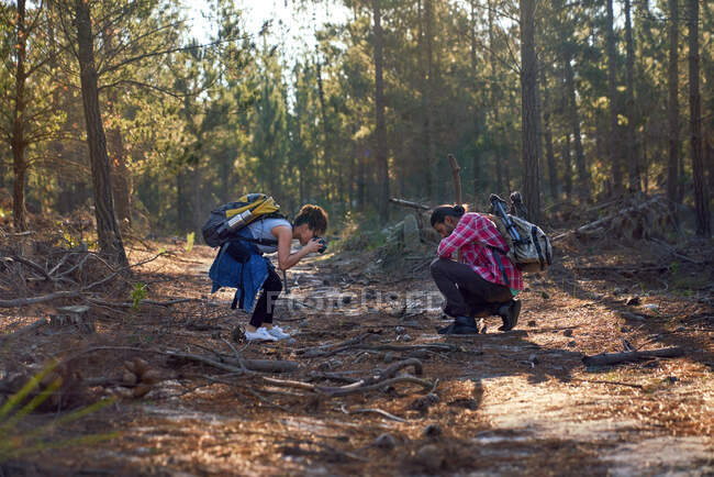 Молода пара для піших туристів використовує камеру в лісі — стокове фото