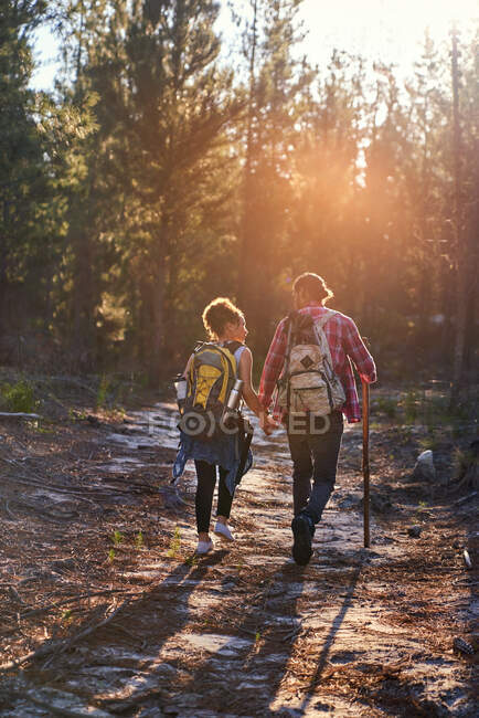 Молода пара з рюкзаками, що ходять у сонячному лісі — стокове фото