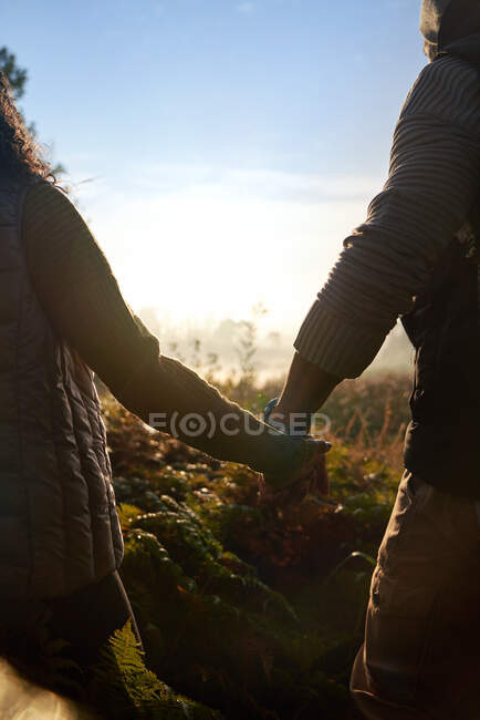 Ласковая пара, держащаяся за руки в солнечной природе — стоковое фото
