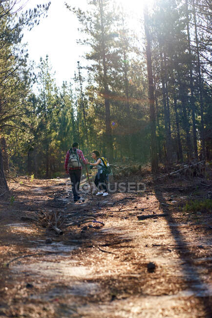 Jeune couple randonnée dans les bois ensoleillés — Photo de stock