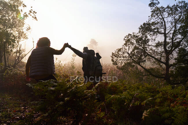Silueta joven pareja cogida de la mano senderismo en el bosque al amanecer - foto de stock