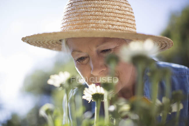 Close up mulher sênior em chapéu de palha cheirando flores no jardim — Fotografia de Stock