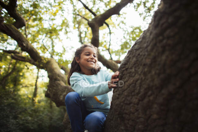 Menina feliz escalada árvore — Fotografia de Stock