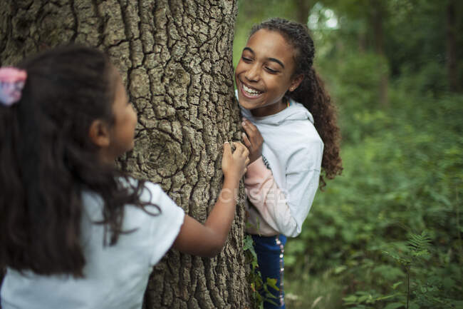 Hermanas felices jugando en el tronco del árbol en el bosque - foto de stock