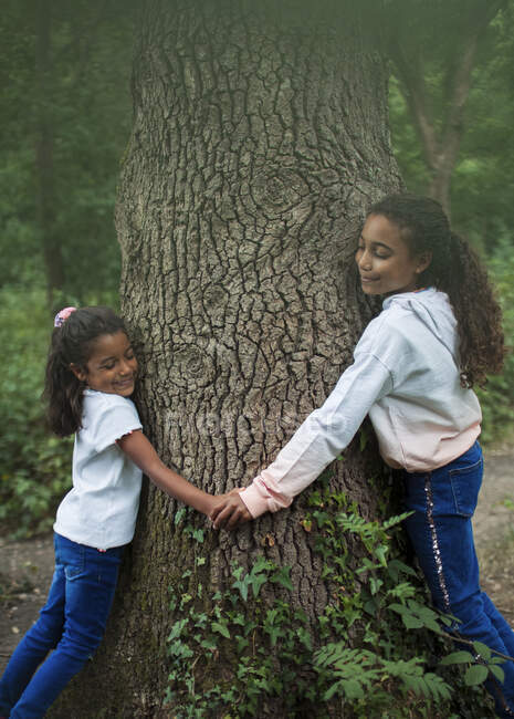 Hermanas felices cogidas de la mano y abrazando el tronco del árbol en el bosque - foto de stock