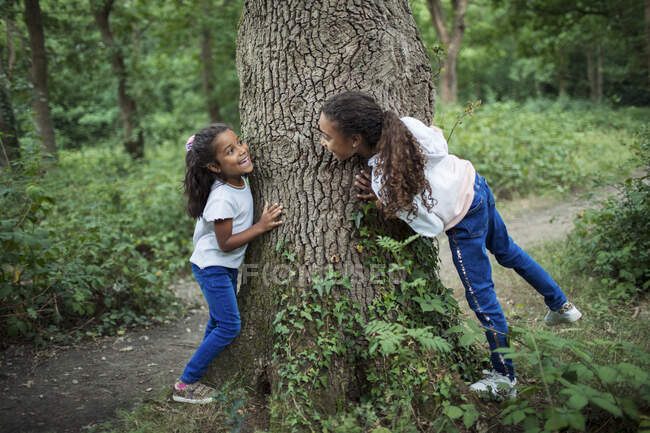 Monada hermanas jugando en árbol tronco en bosque - foto de stock