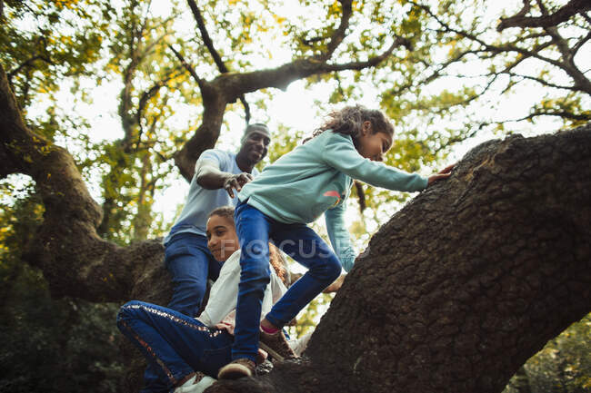 Pai e filhas escalando árvore — Fotografia de Stock
